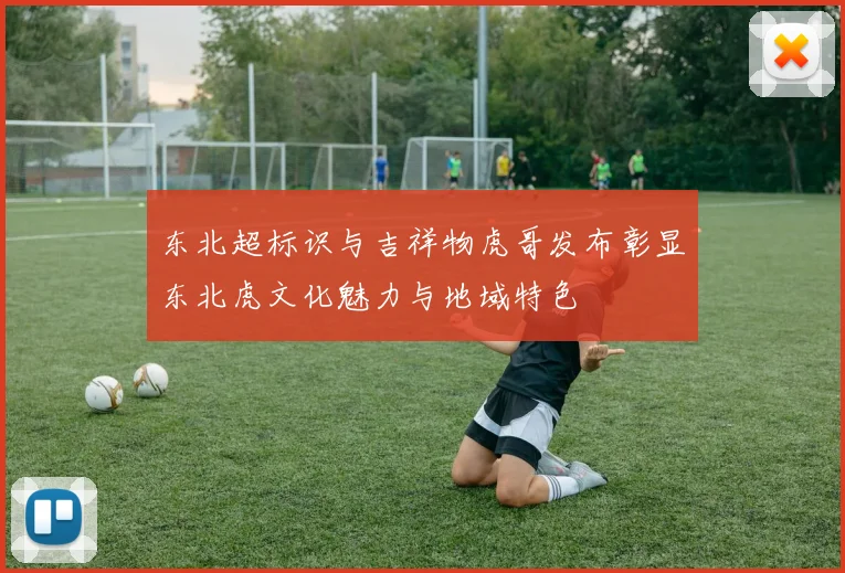 东北超标识与吉祥物虎哥发布彰显东北虎文化魅力与地域特色