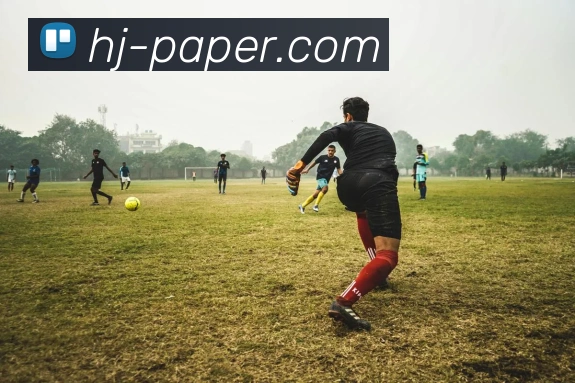 爱游戏服务体系